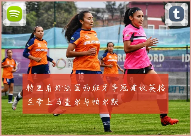 特里看好法国西班牙争冠建议英格兰带上马奎尔与帕尔默